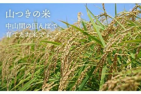 【年内発送】福吉産・ 山つき の もち米 1kg  《糸島》【二丈赤米産直センター】 [ABB027] 糯米 餅 おこわ