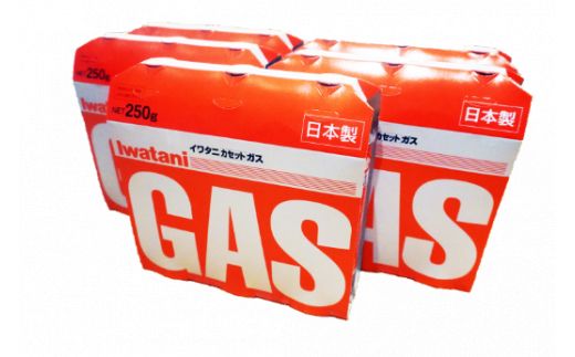 イワタニ　カセットガス　CB缶　カセットボンベ　ガスボンベ　３P　５パックセット【FI04W】