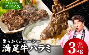 G5289 【満足牛ハラミ】オリジナルスパイス仕込み 合計3kg 【スピード発送 味付け ハラミ 小分け 焼くだけ 簡単調理 BBQ 牛肉 250g×12P 普段使い】