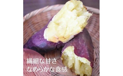 【先行予約】【11月より順次発送】2026年度産 まるで絹のようななめらかなさつまいも シルクスイート5kg【茨城県共通返礼品/行方市】【さつまいも サツマイモ 芋 お芋 甘い なめらか 美味しい 大量 茨城県 北茨城市】(AK203)