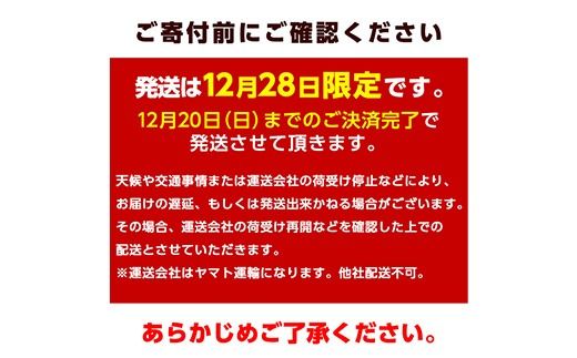 ＜12/28発送限定＞ 神経締めでまるごと1本お届け！美人鰤  下処理無し (1本・約5kg) 美人ブリ 美人鰤 ぶり ブリ 鰤 年末発送 神経締め ブランド魚 獲れたて 鮮魚 まるごと 冷蔵 海の直売所 大分県 佐伯市 ＜離島配送不可＞ 【AS130】【海べ】