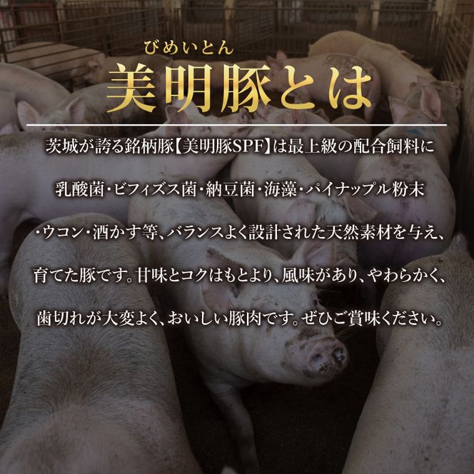 名店‼ブリル飯店名物 チャーシュータルト 3個入×2セット｜タルト チャーシュー チャーシュータルト 名物 名店 美明豚 ブランド 自家製 中華 中華タルト(AP-15)