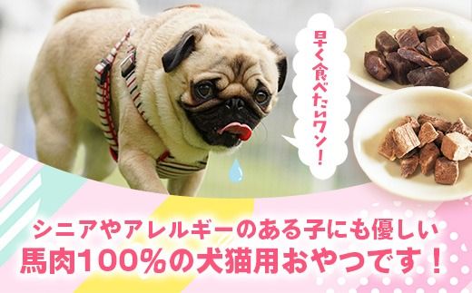 馬肉100％ 犬猫用おやつ - フリーズドライ ペット 小分け 常温 馬肉 栄養豊富 健康 ペット用 おやつ 熊本県 甲佐町