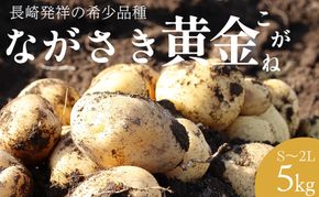 BH048 じゃがいも 希少品種 ながさき黄金 S～2Lサイズ混合 約5kg [ 野菜 芋 ジャガイモ 5キロ ほくほく 先行予約 常備野菜 サイズ混同 国産 贅沢宝庫 長崎県 島原市 ]