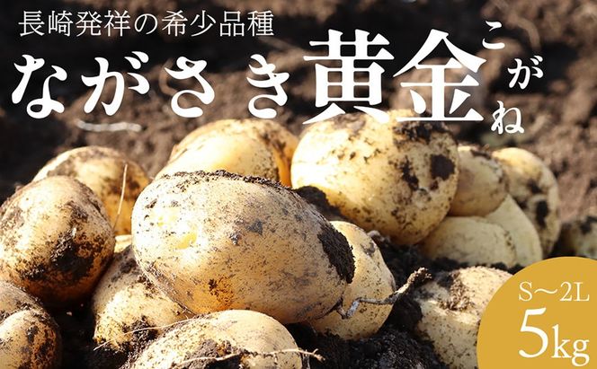 BH048 じゃがいも 希少品種 ながさき黄金 S～2Lサイズ混合 約5kg [ 野菜 芋 ジャガイモ 5キロ ほくほく 先行予約 常備野菜 サイズ混同 国産 贅沢宝庫 長崎県 島原市 ]