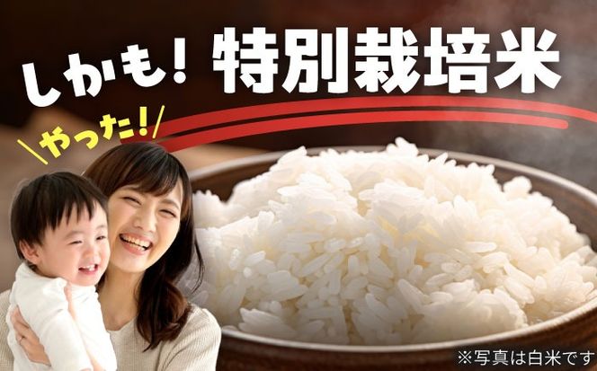 【3回定期便】特別栽培米　キヌヒカリ　玄米　5kg　お米　ご飯　愛西市／株式会社戸倉トラクター[AECS049]