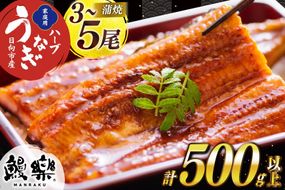 うなぎ 国産 ハーブ 鰻 3〜5尾 計500g 以上 [鰻楽 宮崎県 日向市 452061755] ふるさと納税 3尾 4尾 5尾 ウナギ 蒲焼 ハーブうなぎ 冷凍うなぎ ウナギ 化粧箱 鰻楽 宮崎県産 炭火焼き 九州 たれ タレ 山椒 タレ付き 小分け ◇