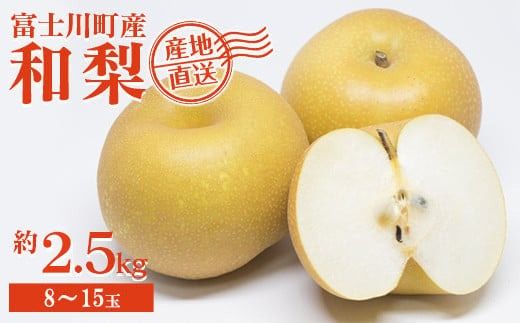 【2025年発送分】フルーツ王国やまなし《人気品種》 和梨 8～15玉（約2.5kg）幸水 豊水  ※8月上旬以降発送予定 梨 なし くだもの 果物 フルーツ 山梨 やまなし 産地直送 先行予約