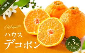 ハウスデコポン 約3kg デコポン でこぽん 柑橘 フルーツ 果物 くだもの 果実 旬の果物 旬のフルーツ 香川 香川県 東かがわ市