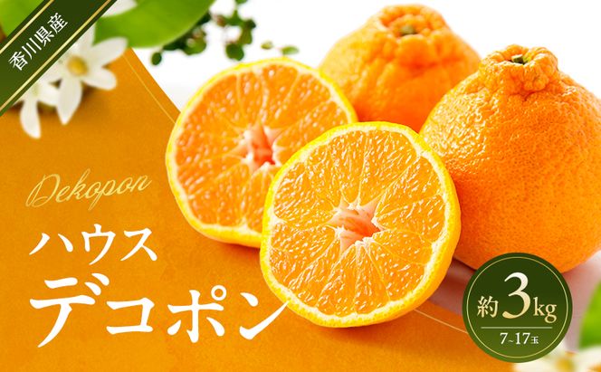 ハウスデコポン 約3kg デコポン でこぽん 柑橘 フルーツ 果物 くだもの 果実 旬の果物 旬のフルーツ 香川 香川県 東かがわ市