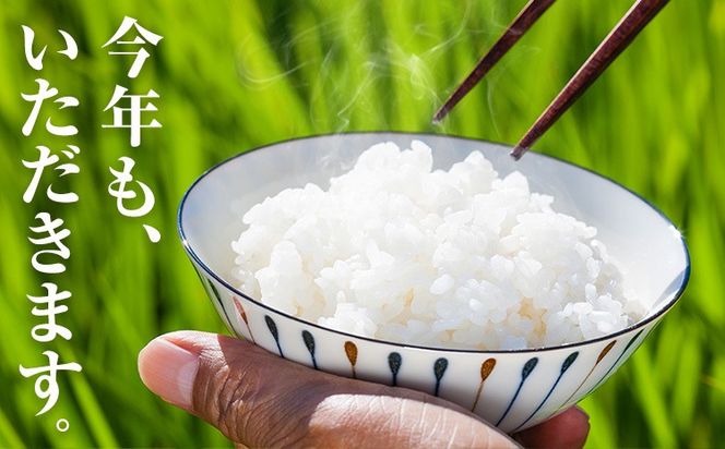 【CF】清流と寒暖差が生む村自慢の「棚田米」 5kg 10kg《11月中旬-12月末より発送》徳島県 佐那河内村 棚田米 米 白米 ---sanagouchi_lcl_15_5kg---