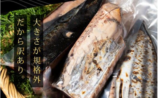 t140kyf　《隔月（2ヶ月に1回）2ヶ月定期便》訳あり 海鮮「カツオたたき1.5Kg」規格外 サイズ不揃い傷 わけあり鰹 人気 ランキング 定期 2回 本場 高知 かつおのたたき【高知県共通返礼品】冷凍 食品 訳アリかつおのタタキ【koyofr】故郷納税 16000円 食べ物 秋 旬 熨斗 のし