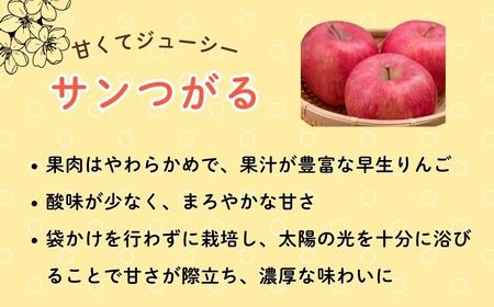 【先行予約丨2026年9月上旬より順次発送】サンつがる【約2.5kg(6〜12玉)】(At-003)丨長野県 飯山市 おすすめ ランキング おいしい 高評価 大人気 先取り 産地直送 りんご