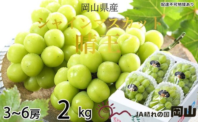 ぶどう 2026年 先行予約 シャイン マスカット 晴王 3房～6房 約2kg 7月上旬～8月中旬発送 ブドウ 葡萄 岡山県産 国産 フルーツ 果物 ギフト 種なし