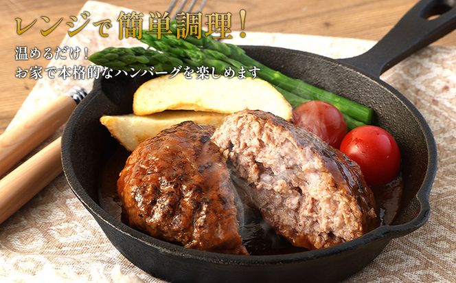 ハンバーグ セット 冷凍(130g × 10パック 計 1,300g)ギフト レンジ 湯煎 温めるだけ 簡単調理 小分け 個包装 総菜 簡単 おかず レトルト 人気 お取り寄せ 九州 宮崎県 えびの市 送料無料