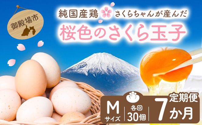 【定期便7ヵ月】純国産鶏さくらちゃんが産んだ桜色のさくら玉子 五分咲き（Mサイズ）30個 ｜ 卵 鶏卵 たまご タマゴ 生卵 たまごかけご飯 濃厚 甘み 国産
