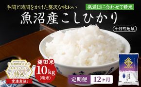 【12ヶ月定期便】魚沼産こしひかり 棚田米(十日町地域) 精米 10kg(5kg×2) 米 お米 コシヒカリ 定期 十日町市