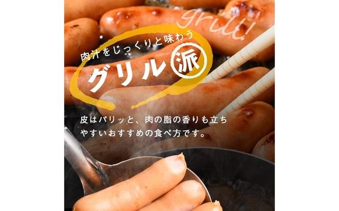 【定期便全3回】2ヶ月に1回お届け！訳あり・業務用！恵みウインナー計6kg t0033-007