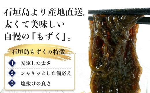 【石垣島産もずく定期便６回】2か月に1回『500g×6パック』を計６回お届けします！【 沖縄県 石垣市 養殖 水雲 海藻 もずく フコイダン 塩もずく 太もずく 沖縄もずく 定期便 定期配送 】SI-100