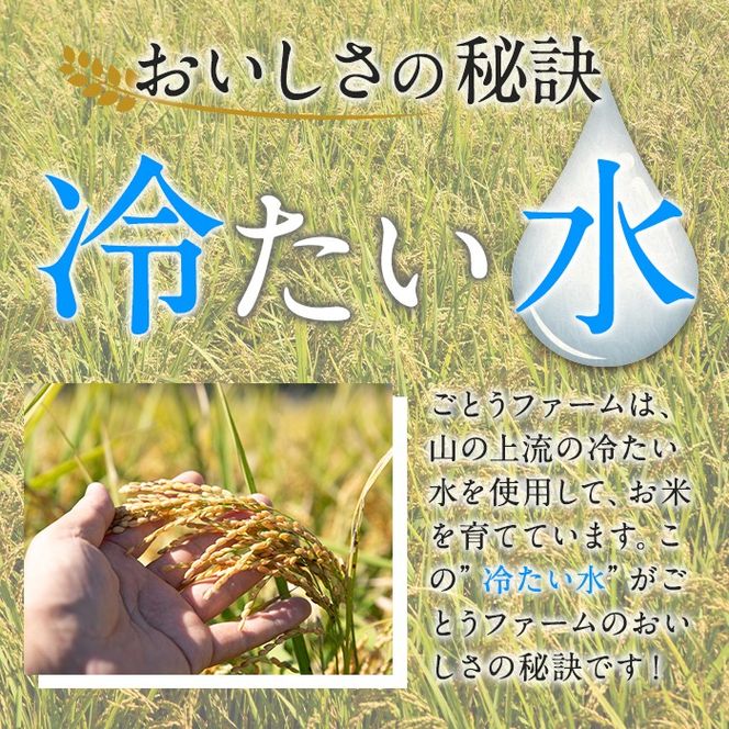 ＜先行予約受付中！2024年10月下旬以降順次発送予定＞数量限定！ひのひかり(計6kg・3kg×2袋) 米 お米 白米 ひのひかり ヒノヒカリ おにぎり お弁当 ごはん ご飯【ごとうファーム】a-16-52