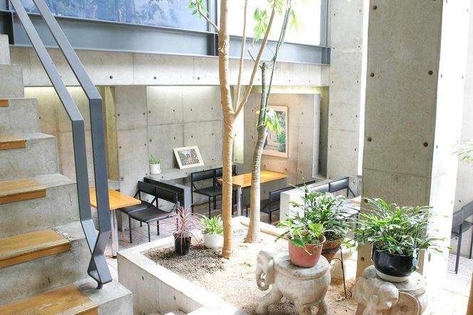 【まざあぐうす】京の抹茶ティラミスチーズケーキ12cm｜京都 スイーツブランド ケーキ 人気 ［ 全国の催事で大人気 抹茶 ティラミス チーズケーキ おすすめ お菓子 洋菓子 ギフト プレゼント お取り寄せ通販 送料無料 ふるさと納税 ］ 261009_B-VG04