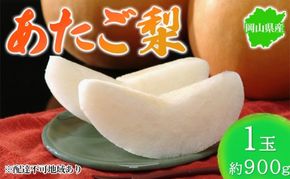 梨 2026年先行予約 岡山県産 あたご梨 約900g 1玉 お届け11月下旬～12月中旬