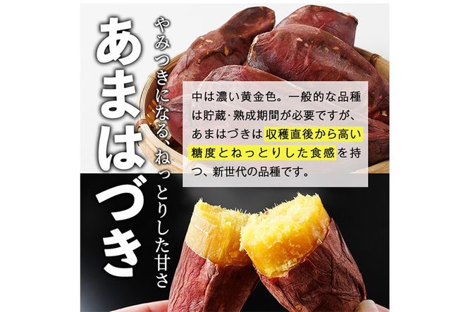 ＜先行予約受付中！2026年10月から順次発送予定＞冷凍焼き芋(あまはづき)(計2kg・500g×4袋)冷凍 焼芋 焼き芋 やきいも さつまいも さつま芋 レンジ小分け おやつ 宮崎県 門川町【YO-22】【株式会社 陽】