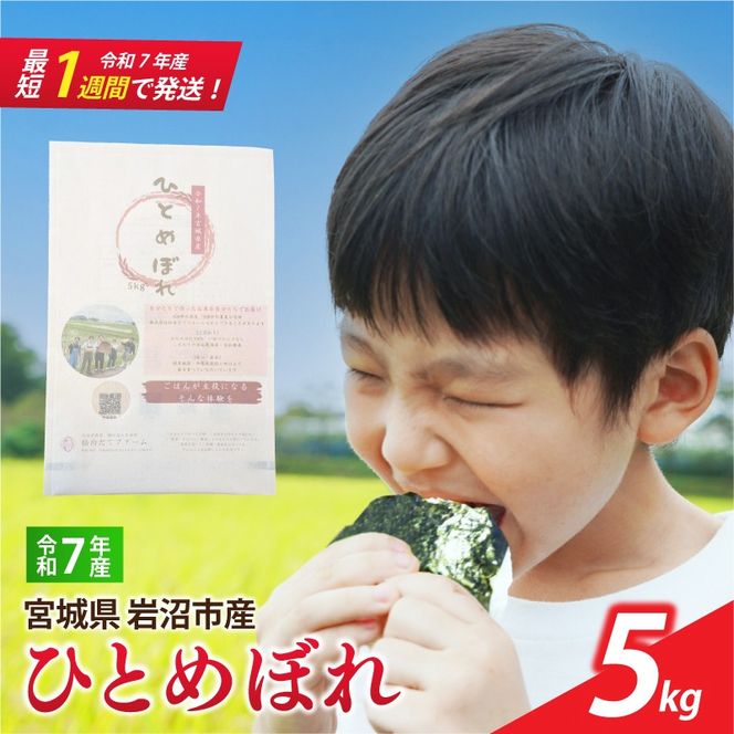 【 令和7年産 】 宮城県産 ひとめぼれ 5kg 単品 一等米 すぐ 届く 米 精米 東北米 ふるさと納税 米 お米 白米 コメ ライス ご飯 米5kg 5キロ ごはん 美味しい 国産 宮城県 岩沼市 kome okome お取り寄せ 産地直送 東北 SD001