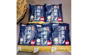 【令和7年産米】新潟県村上市岩船産 コシヒカリ10kgセット（2kg×5袋） 1026001