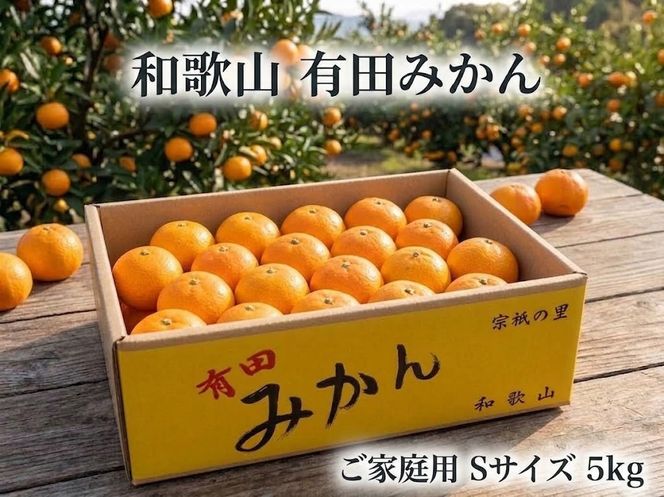 ［ご家庭用・サイズＳ］和歌山有田産！早生みかん≪5kg≫［予約販売］［数量限定］まる隆果樹園  CS019