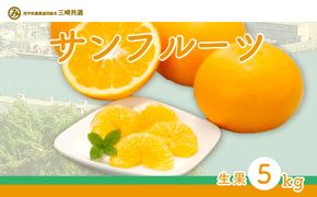 【先行予約】サンフルーツ（生果5kg）※離島への配送不可（2027年2月上旬～3月上旬頃より順次発送） IKTBD013
