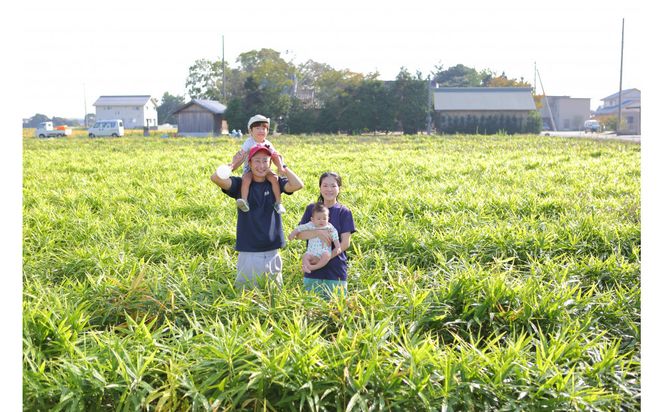 出雲生姜じんじゃエール１０本セット 322032_FW001