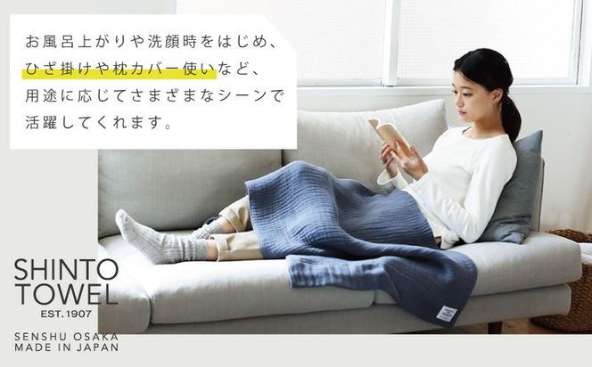 TST0002 【高島屋選定品】SHINTO TOWEL インナーパイル バスタオル セット 計3枚