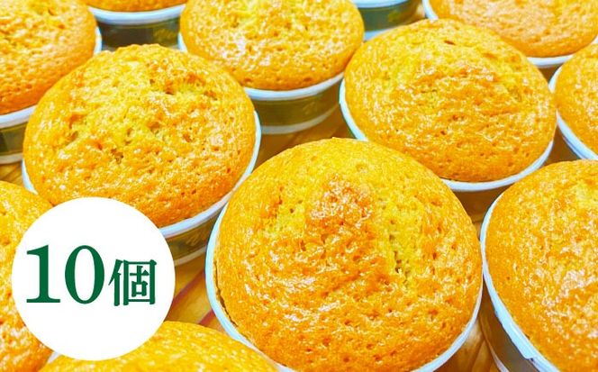 【地元産のオリーブ使用】 オリーブ の マドレーヌ 10個入り / 焼き菓子 焼菓子 スイーツ スペイン菓子 / 南島原市 / 吉田菓子店[SCT047]