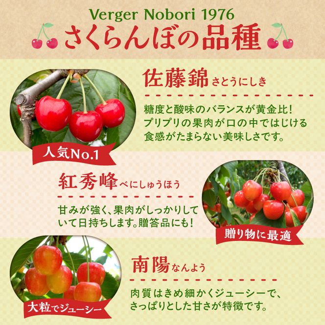 【2026年産 先行予約】＜北海道余市産＞さくらんぼ「サミット」（L～3Lサイズバラ詰め）500ｇ×2パック_Y103-0056
