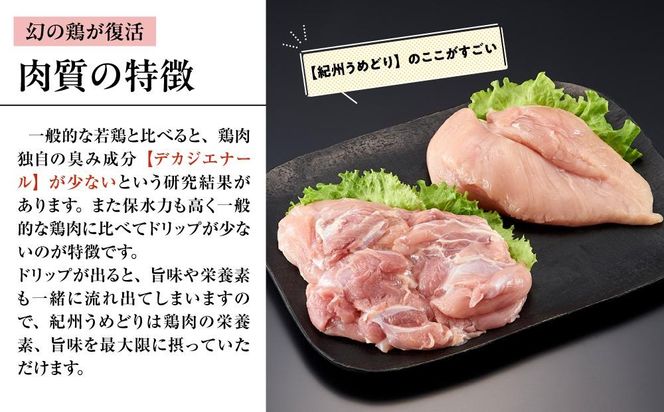 紀州うめどり もも肉 ＆ むね肉 4枚 合計 約1360g セット 冷凍 鶏肉 鶏 地鶏 肉 EQ03