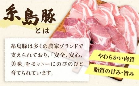 【全6回定期便】糸島豚ロース肉6枚 肩ロースカツ5枚 合計11枚セット《糸島》【糸島ミートデリ工房】 [ACA230]