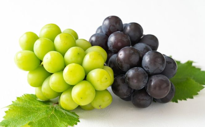 フルーツ 2026年 先行予約 果物 詰合せ 岡山 白桃 4玉 等級：ロイヤル（1玉220g以上） シャイン マスカット 晴王 1房 580g以上 ニューピオーネ 1房 580g以上  岡山県産 ギフト