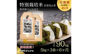 【通年受付】≪令和8年産≫【定期便／全6回】農家直送！魚沼産コシヒカリ特別栽培「白羽毛の米」精米15kg(5kg×3袋)×6回 計90kg お米