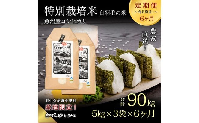 【通年受付】≪令和8年産≫【定期便／全6回】農家直送！魚沼産コシヒカリ特別栽培「白羽毛の米」精米15kg(5kg×3袋)×6回 計90kg お米