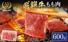 飛騨牛もも肉 焼肉用 600g 飛騨牛 A5等級 和牛 黒毛和牛 F4N-2666