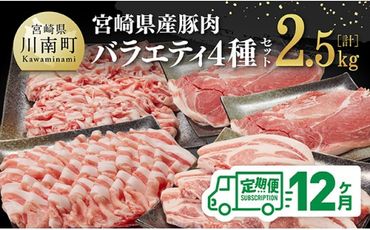 【12ヶ月定期便】宮崎県産豚肉バラエティ4種セット2.5kg【 肉 豚 豚肉 ロース バラ 切り落とし 】[D07502t12]