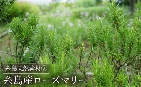 糸島 オール イン ワン ジェル いとうるる 《糸島》【フレンチコネクション】 [APC001] 1プッシュで洗顔後のケア5役に対応! 化粧水・乳液・美容液・クリーム・化粧下地