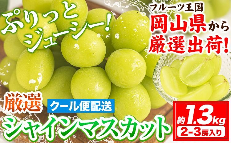 [2026年発送先行予約]シャインマスカット 岡山 約1.3kg 2-3房 厳選 旬 ぶどう ブドウ 葡萄 マスカット 果物 フルーツ ギフト 岡山県 笠岡市 訳あり クール便 爽やか 贅沢[2026年9月上旬-11月中旬頃出荷]---kasaoka_zsy_221_13---