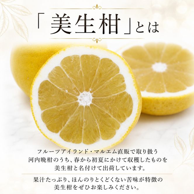 【先行予約】 訳あり 美生柑 みしょうかん 約10kg 河内晩柑 不揃い サイズミックス 傷あり ばんかん フルーツ 果物 くだもの 文旦 晩生柑 厳選 愛媛 みかん 蜜柑 mikan 愛南 ご当地 ブランド 国産 産地 直送 ゼリー マーマレード デザート フルーツアイランド マルエム直販 愛媛県 愛南町