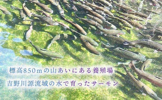 ★お中元★　氷室サーモン400g（200g×2個）