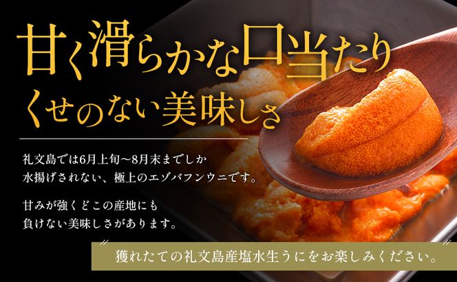 北海道 礼文島産 ミョウバン不使用 塩水ウニ エゾバフンウニ 100g×1パック［野崎水産］【 うに ウニ 雲丹 生うに 塩水うに バフンウニ 素材本来の味 海鮮 うに丼 濃厚 甘み 産地直送 】