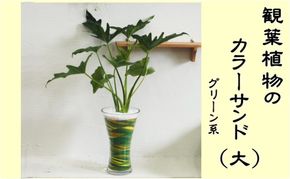カラーサンド（ガラス花器：大）グリーン系 植物 インテリア 飾り 緑 部屋 玄関 グリーンインテリア アート感覚 寄せ植え 1点もの 