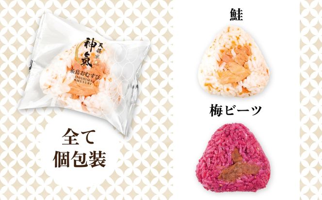 【全6回定期便】【玄米】冷凍 おむすび 20個(10種×各2個) セット 糸島市 / 糸島おむすび 神氣 [ANL006] おにぎり 冷凍 おむすび 玄米 ごはん ご飯 小分け