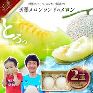 先行予約 メロン ２玉入り（1玉約1.4kg～1.8kg）青肉 2026年春発送 期間限定